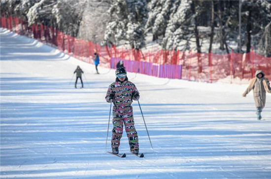 长春净月潭滑雪场开板：雪淞雾凇间穿行感受“梦境般”乐趣